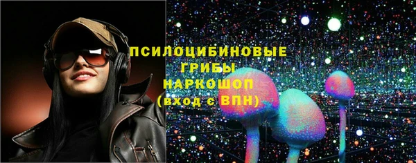 крисы Строитель
