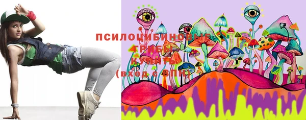 крисы Строитель