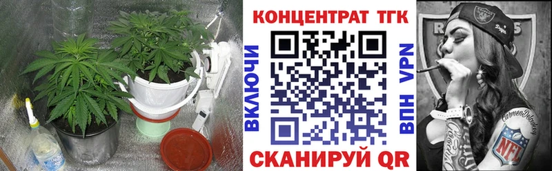 Дистиллят ТГК гашишное масло  блэк спрут маркетплейс  Кадников 