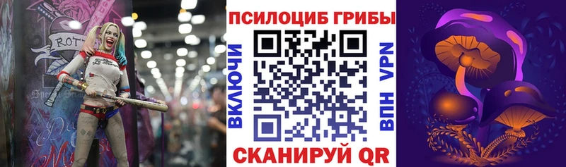Галлюциногенные грибы GOLDEN TEACHER  даркнет формула  Кадников  цена наркотик 